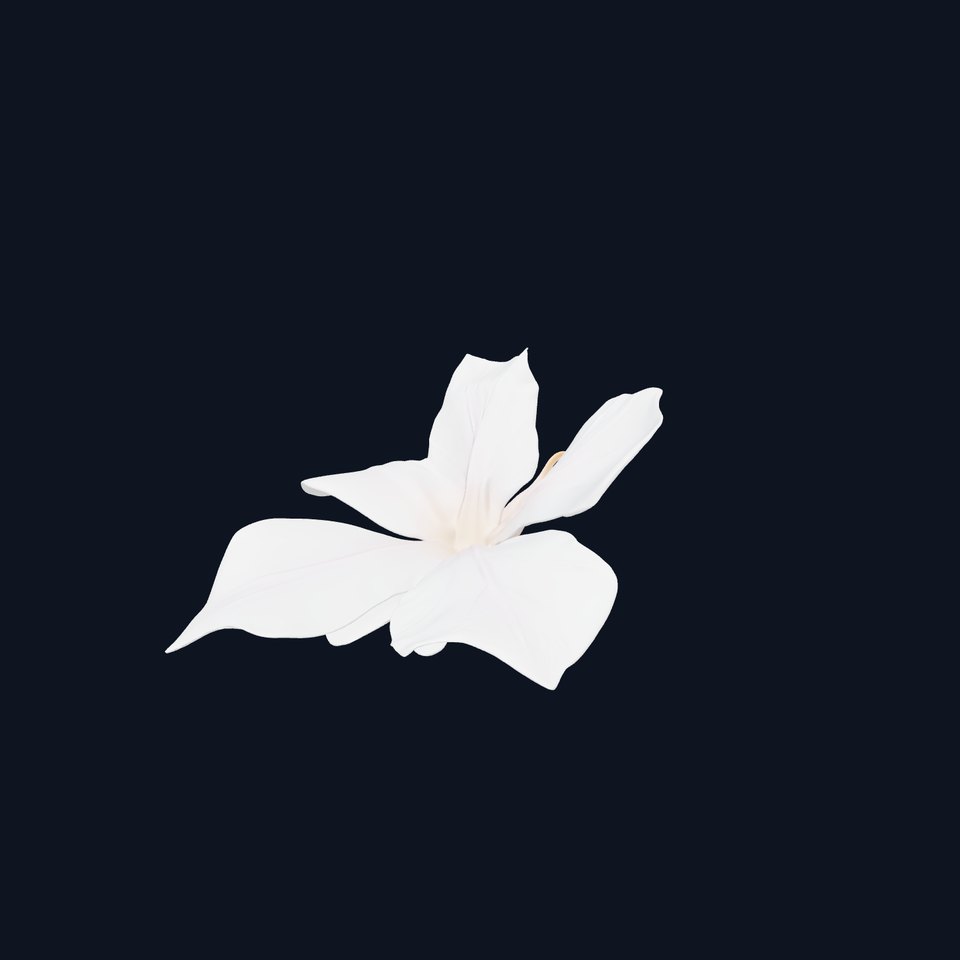 Delicate White Flower model pack